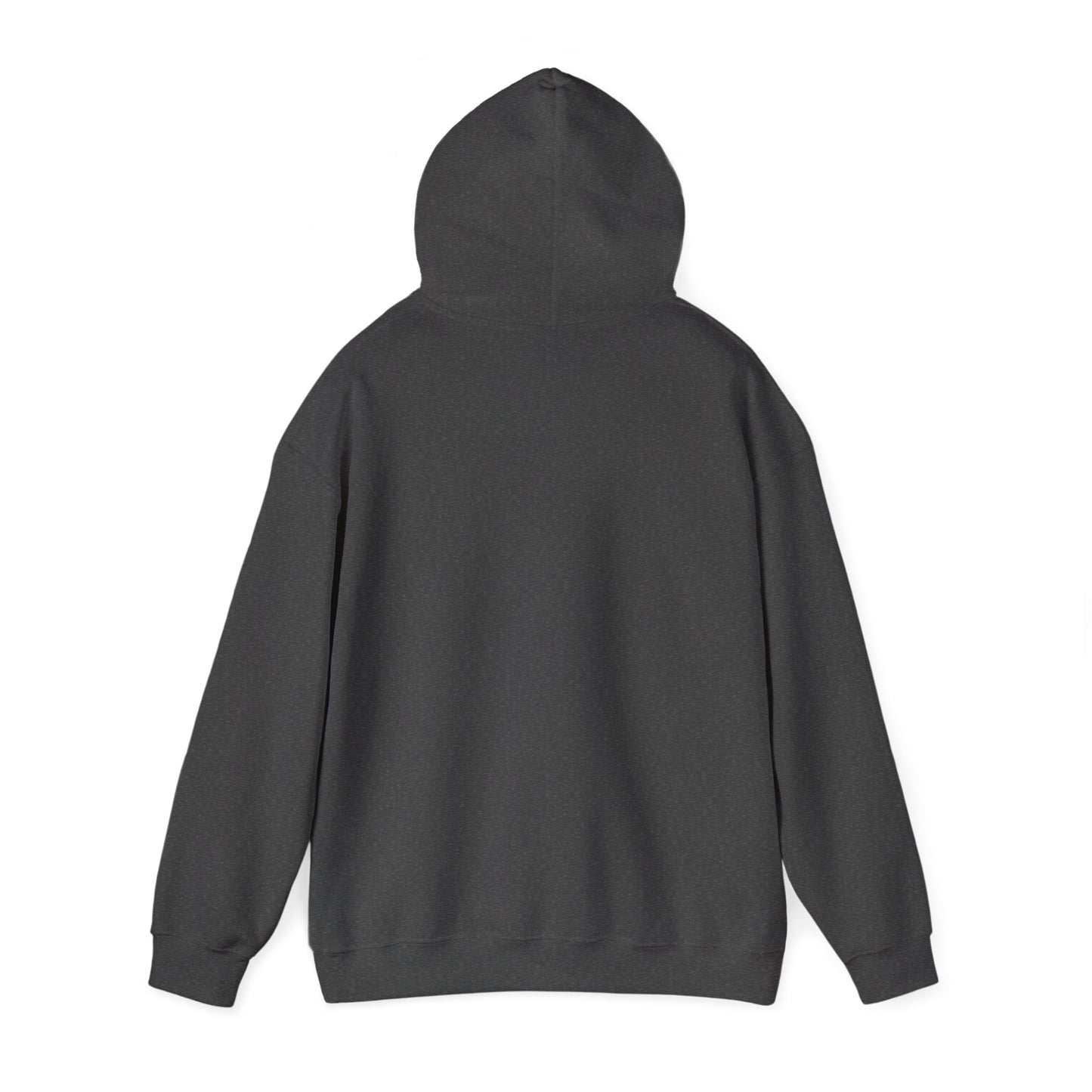 Equestrian Style Unisex Hoodie, Horse Lover Sweatshirt, Casual Wear, Gift for Horse Enthusiasts, Cozy Layering